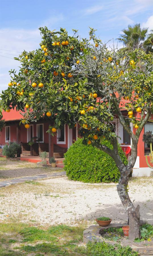 Pensjonat Monte Da Xica - Somente Adultos Zambujeira do Mar Zewnętrze zdjęcie